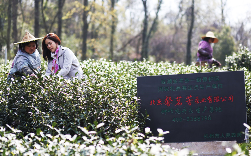 1577937040848652.jpg 未標(biāo)題-1.jpg