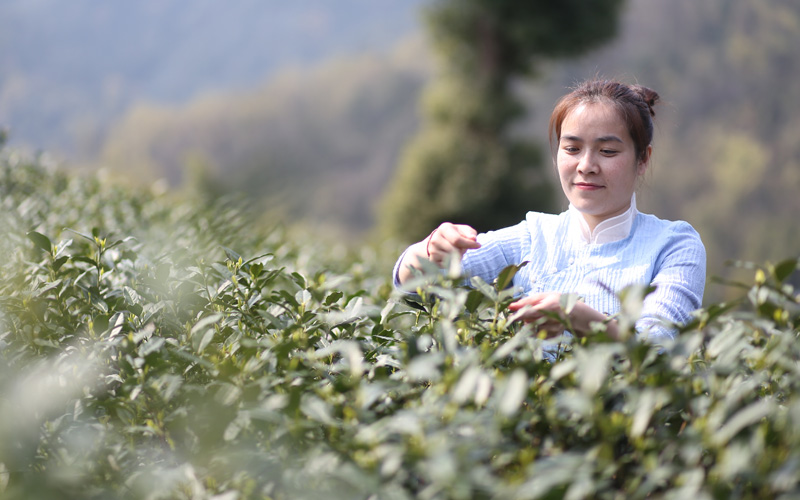 1577937049473607.jpg 2.jpg