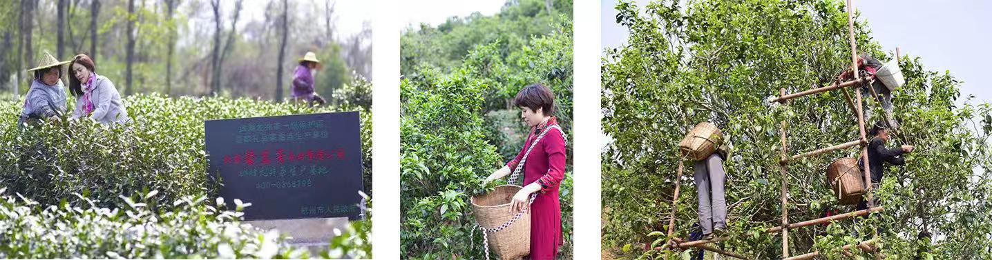 1608391682314833.jpg 微信圖片_20201219232651.jpg